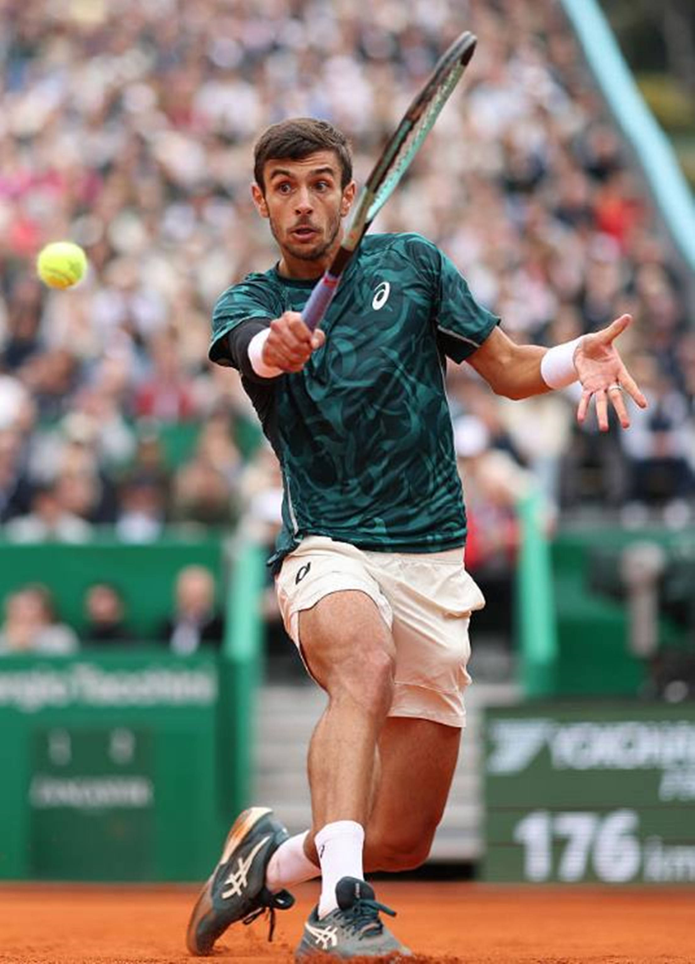 有强力中锋 有强力中锋