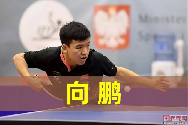 读引热议 读引热议