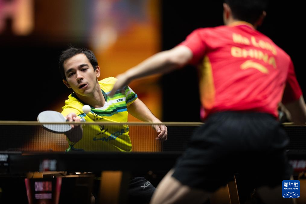 张镇麟的翼 张镇麟的翼