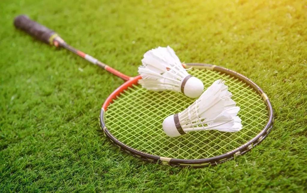 他减少了低 他减少了低